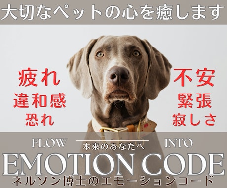 大好きな家族あなたの♥ペットの心♥をそっと癒します ネルソン博士 エモーションコードでペットの囚われた感情を解放 イメージ1