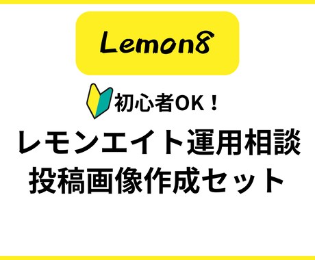 Lemon8レモンエイトの相談と画像作成をします 運用の方向性を考えて画像を作成します。 イメージ1