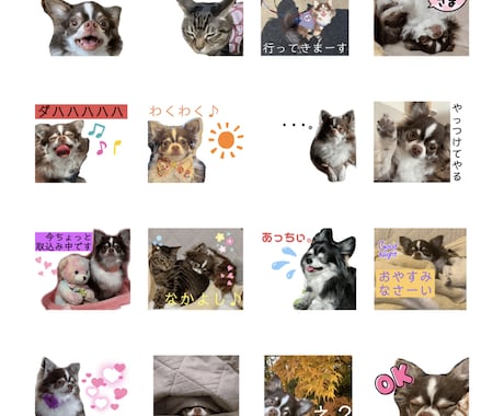 お写真からかわいいLINEスタンプ作成します お子様・お孫様・ペットのお写真を活かしてスタンプ作成します イメージ2