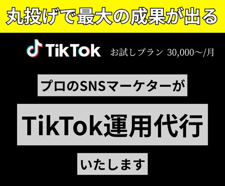 丸投げで最大の成果が出るTikTok運用いたします 100万再生を複数叩き出したインフルエンサーが担当 イメージ1