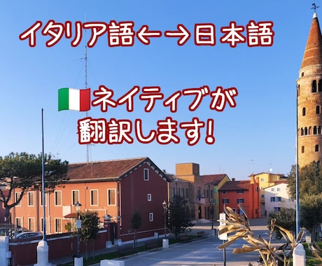 ネイティブが訳します 【経歴8年】細かい意味合いを活かし、丁寧な翻訳に拘ります。 イメージ1