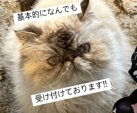 商用利用可能な写真素材1~30枚提供します イメージ1