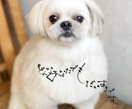 愛しているペットの気持ち♡ペットロスのお話聞きます 楽しい思い出♡一緒に過ごした日々♡ペットちゃんの話だけでも◎ イメージ2