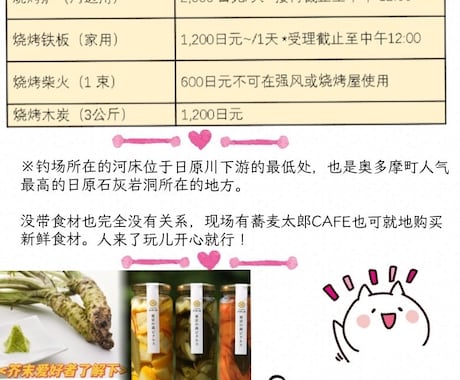 旅行企画書・旅程プラン作成します 実績ありl見やすい行前・行中・行後までサポートする旅行企画書 イメージ1