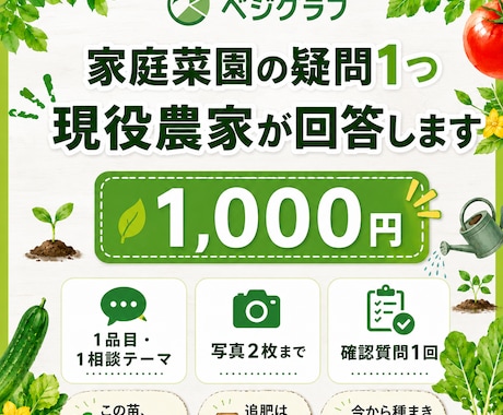 この野菜、今から間に合うか現役農家が判定します 野菜1品目の状況を整理し、次に行う作業を提案します イメージ1