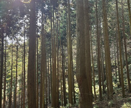 発するお言葉でご自身を浄化するお手伝いをします 何でも良いです。心の声を開放するお手伝いをしております。 イメージ2