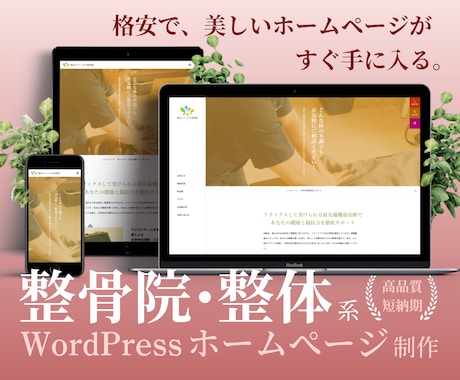 整骨院・整体サイトを格安で早期立ち上げします イメージ1