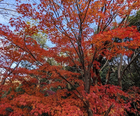 介護のお悩み鑑定いたします ☆現役介護福祉士がお悩みに寄り添います☆ イメージ1