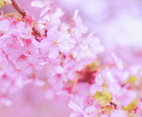 小学校入学にあたっての困りごと相談に乗ります お子様と親御さんの笑顔のために元教員がお悩みを解決します！ イメージ1