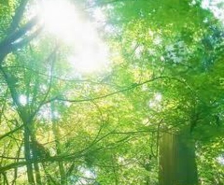 癒されたい、聞いてほしいを包み込みます とにかく落ち込んでる、悲しい励ましてほしい人は試してください イメージ1