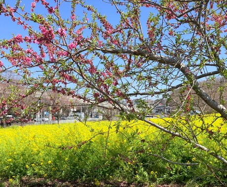 あなたの心を整えるお手伝いをします 対話をして”自分の望む”幸せに近づこう イメージ1