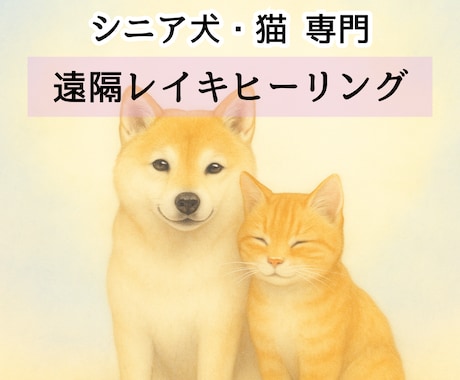 シニア犬猫専門｜遠隔レイキヒーリングをお届けします 高齢のわんちゃん・ねこちゃんのための優しいヒーリングケア イメージ1