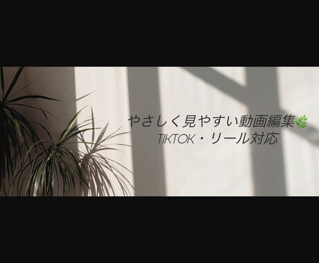 TikTok動画編集｜初心者ですが丁寧に対応します やさしく見やすい動画を丁寧に仕上げます イメージ2