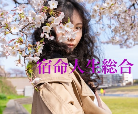宿命人生総合　今の貴方に必要なメッセージ送ります 透視×命術　リピーター様の8割が主婦、OLさんです。 イメージ1