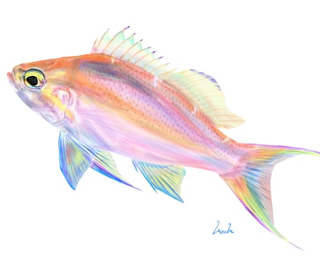 綺麗でリアルよりな魚の絵を描きます いい感じの魚の絵を気軽に頼んでみたい方へ