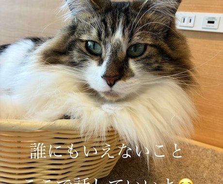 少しでも心が軽くなってくれたら嬉しいですます だれかに聴いて欲しい夜ありませんか？ イメージ1