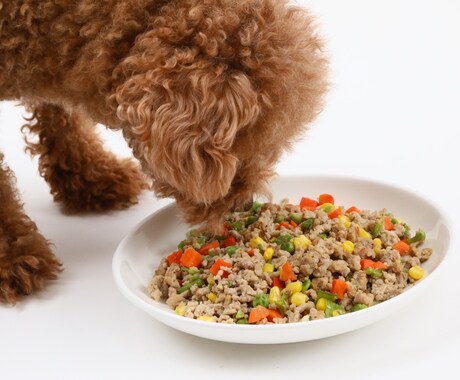 犬・猫の手作りフード教えます イメージ1