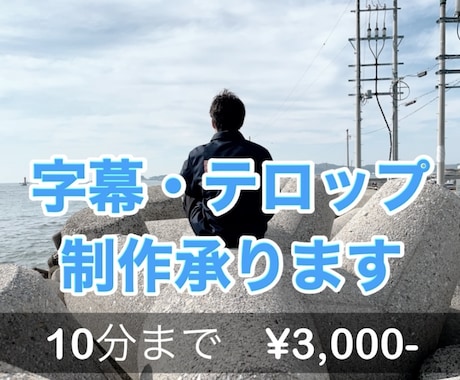 YouTube動画向けの素材に字幕をつけます イメージ1