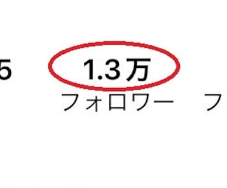 インスタ日本人フォロワー＋100増加拡散します 最高品質■インスタの日本人フォロワー１0０名増やします イメージ2