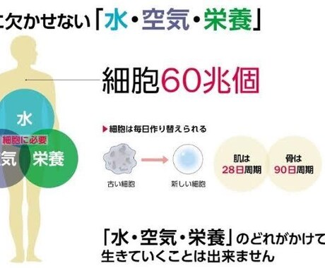 腸活、体質改善のやり方を教えます 健康の入り口は腸活、健康のシートベルトは体質改善 イメージ2