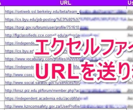 EDU-GOV高品質ドメイン20本被リンク送ります 権威性の高いサイトからのバックリンクを格安で！ イメージ2