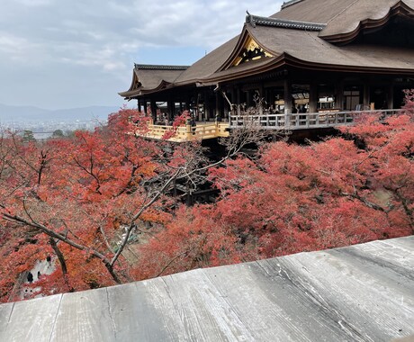お得に旅行に行くご相談受けたまります 旅行のお得な最新情報をサービスをご提案させて頂きます。 イメージ2