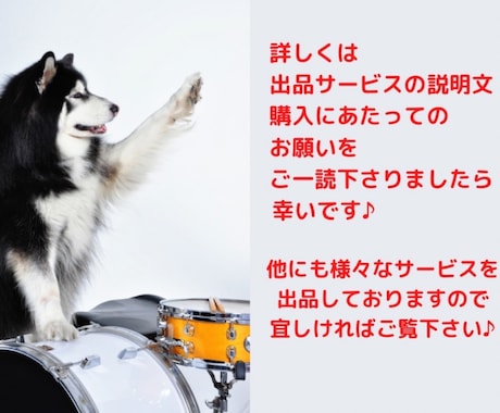 元メジャーデビュー歌手が歌の悩みを解消します ボイトレ、歌詞添削、音楽活動をしていく上でのアドバイスします イメージ2