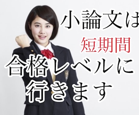 東京学芸大学＜小論文対策＞添削します 学芸大学の小論文試験に特化した添削プラン（前期試験用） イメージ2