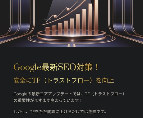 TF30超えで上位表示を実現致します TF30以上に強化！TF40も可能◎検索上位を狙う最短ルート イメージ2