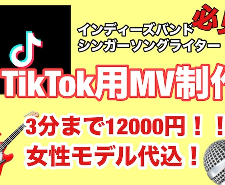 激安でTikTok用MV制作致します インディーズ必見！丸投げでOK！TikTok用MV制作！！ イメージ1