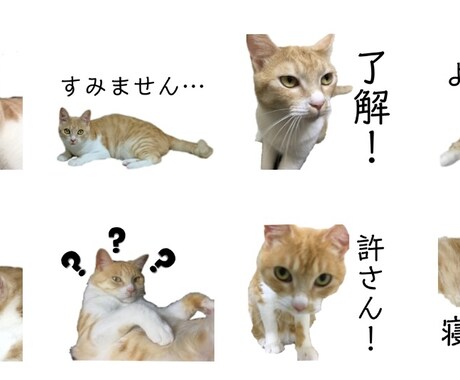 あなたの可愛いペットのLINEスタンプを作ります 画像共有頂いて、LINEスタンプを作成します！ イメージ1