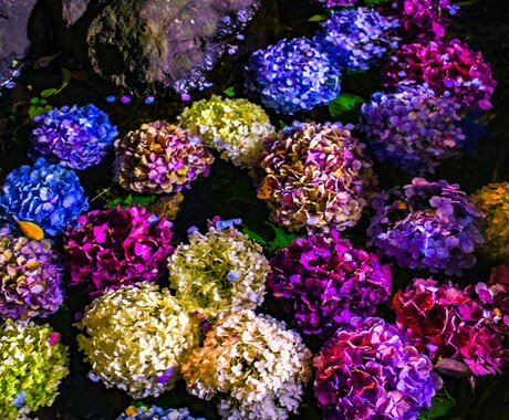 写真を代行します 見たことの無い景色をあなたへ。。 イメージ1
