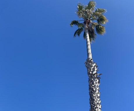 コロナ禍海外就職の経験をお伝えします アメリカ版ワーホリ！？ J-1ビザでアメリカ生活中！ イメージ1