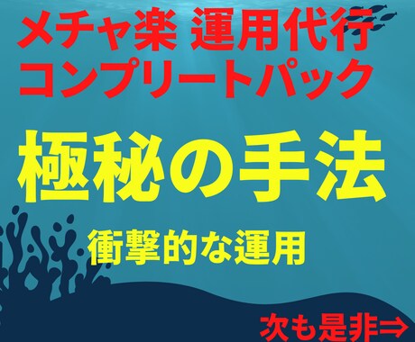 人気副業のコンプリートパックをご案内します 実績にこだわる私が運用代行！簡単副業！画像をご確認下さい。 イメージ1