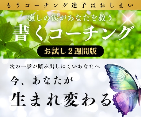 書くコーチング２週間版✨自分を癒して目標達成します 癒しの涙があなたを救う愛のコーチング/今、生まれ変わる自分 イメージ1