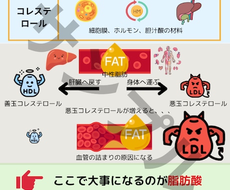 専門知識をお客様にわかりやすくA4一枚にまとめます 初回のプレゼント、リピート率向上、信頼関係構築に使えます。 イメージ2