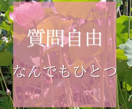 タロット・オラクルカードで占います 自由な質問内容に対して占っていきます。 イメージ1