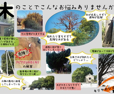 チラシデザイン作成します とにかく納得いくまで修正します！ イメージ2