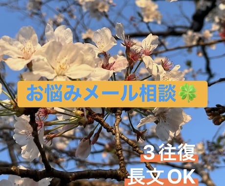 心に寄り添ったカウンセリングをします 友人と話すような感覚でいつでも気軽にお声掛けください イメージ1