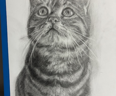 動物・写真から感動の一枚を制作します 「大切な家族の“今”を一枚の絵に」 イメージ2