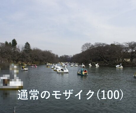 1分200円～】格安で簡単なモザイク編集します 格安で即納！見積依頼は無料！！まずはご相談ください！ イメージ1