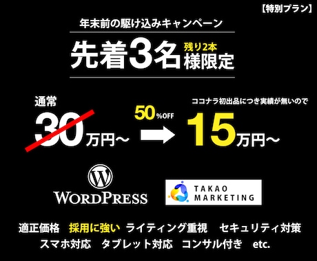 マーケティングディレクター監修のHPを制作します 早くて採用に強いHPが欲しいならTAKAOMARKETING イメージ1