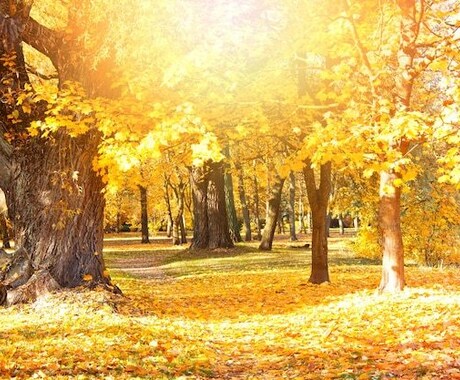 片想い中の『あの人の心』を読み解きます ✨片想いを少しでも安心に変える、あなた専用タロット占い✨ イメージ2