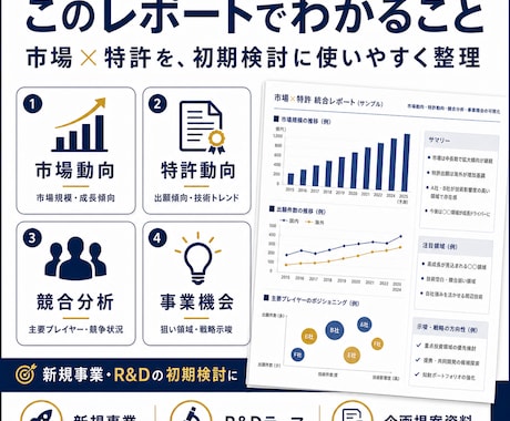 市場×特許の統合レポート作成します 事業機会と競合動向を見える化します イメージ2