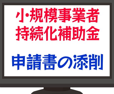 補助金の事業計画書(申請書)を添削します 小規模事業者持続化補助金の採択実績多数あり！ イメージ1