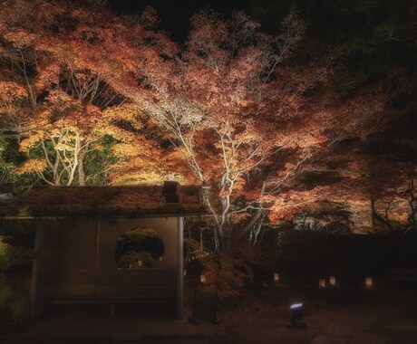 今まで撮ってきた様々な風景写真を提供致します ご要望の写真がなかった場合、新規写真の撮影代行も致します。 イメージ2