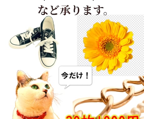 画像の白抜き・背景透過・ロゴ貼りなど加工いたします ECサイトの画像編集/合成/色変え/ショップのロゴ貼り イメージ1