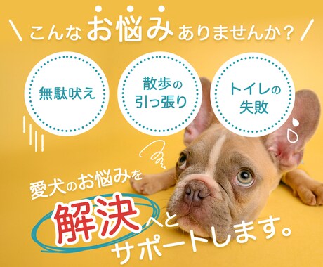 トレーナー歴14年！オンラインでしつけ教室します 愛犬に優しく、飼い主様が再現しやすい方法をご提案します イメージ2