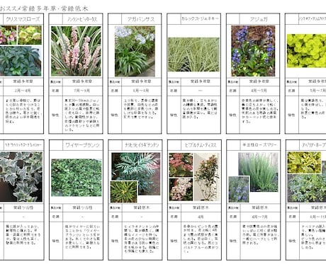 お庭の環境とイメージにマッチした植物を選定します お庭に植える植物選びにお困りの方へ イメージ1