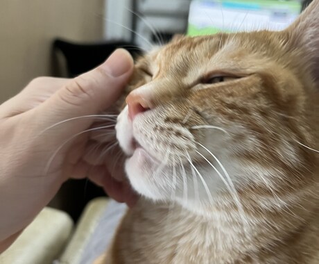 年は取ってみるもんだな。その心境をお伝えします 死にたいを含めて50年近くどうにかやってきてたどり着いた境地 イメージ1